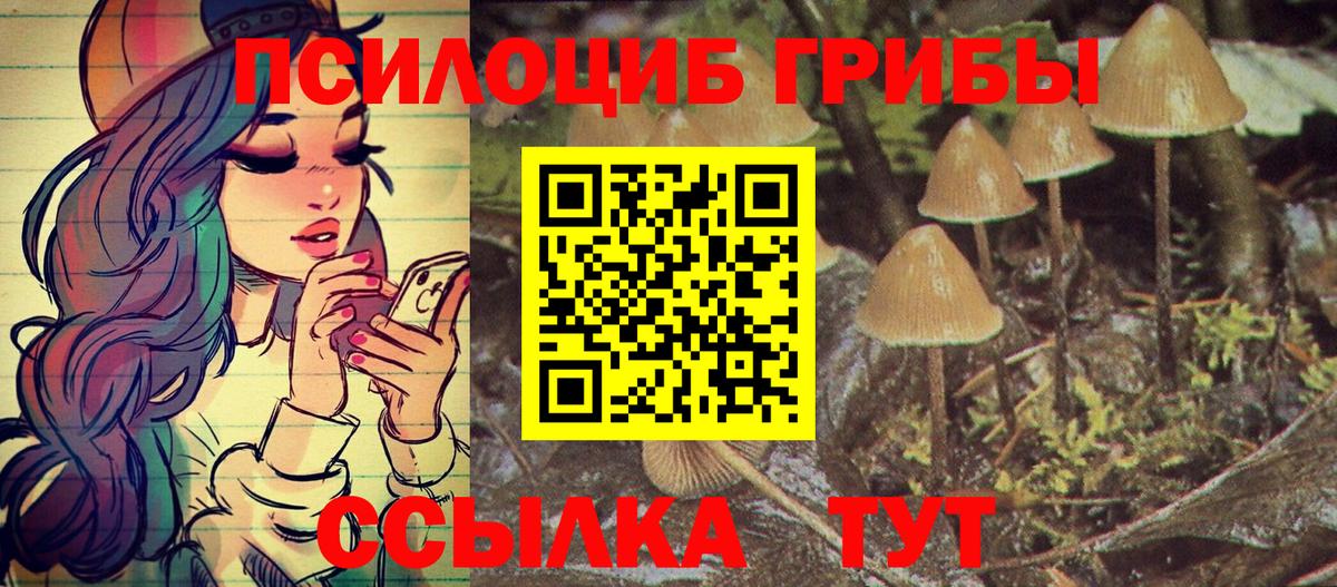 Ставрополь  дарнет шоп  Вход с VPN  Псилоцибиновые грибы мухоморы  Галлюциногенные грибы MAGIC MUSHROOMS 
